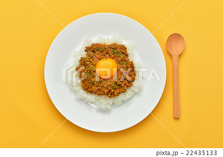 キーマカレー（ドライカレー／挽肉のカレーライス）のイメージ。 22435133