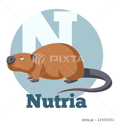 ABC Cartoon Nutria ABC Cartoon Nutria 22435331