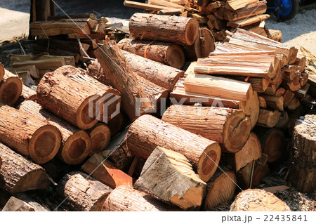 薪の山 22435841