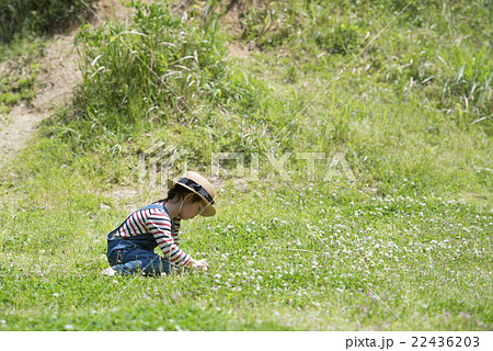 花を摘む女の子の写真素材