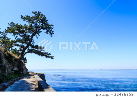 佐久島　波ケ崎 22436358