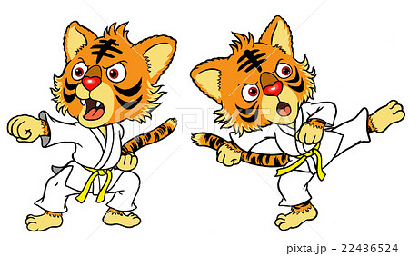 空手キッズ 22436524