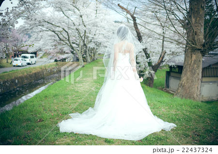 新婦イメージ 結婚式 ウエディングドレス リゾートウエディング 結婚式イメージ 花嫁 素材の写真素材