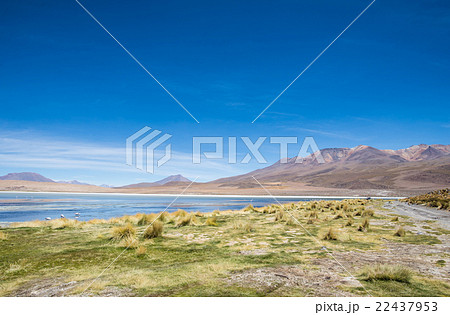 ボリビア 22437953