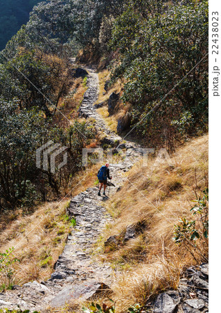 Hike in Nepal jungle 22438023