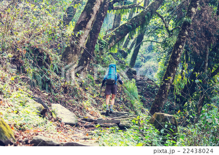 Hike in Nepal jungle 22438024
