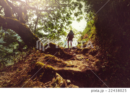 Hike in Nepal jungle 22438025