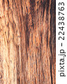 Big Brown wood plank wall texture background 22438763