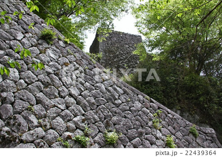 岡城石垣 22439364
