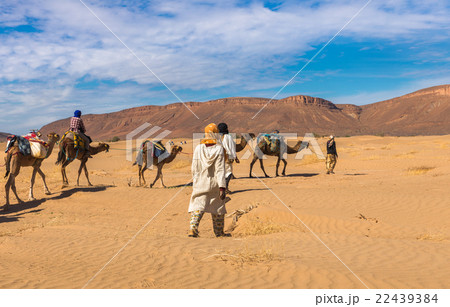 camel caravan going through the desert, Morocco 22439384