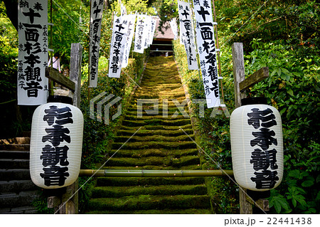 杉本寺(鎌倉) 杉本寺(鎌倉) 22441438