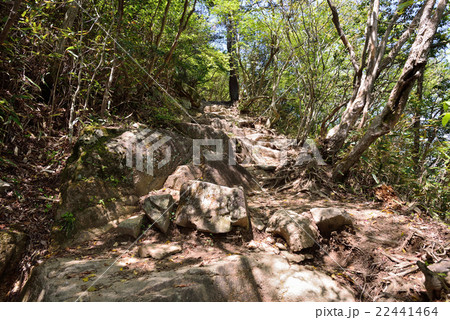 六甲山系アゴニー坂 22441464