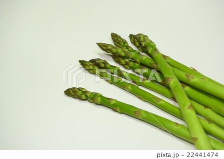 アスパラガス　食材 22441474