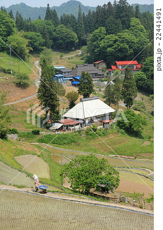 大町市八坂　押の田の棚田 22441491