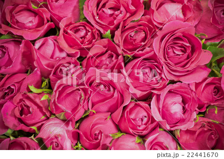 Pink of Roses bouquet background, 22441670