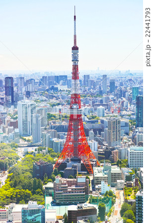 新緑の東京の風景 22441793