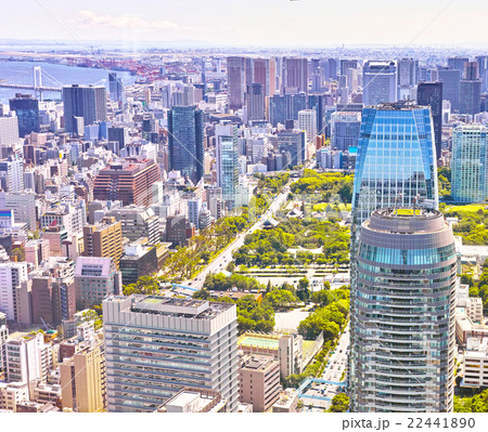 新緑の東京の風景 新緑の東京の風景 22441890
