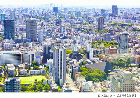 新緑の東京、麻布、白金台の高級住宅街の風景 新緑の東京、麻布、白金台の高級住宅街の風景 22441891