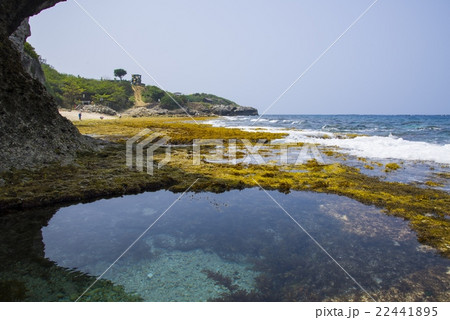 海沿い 海浜 岩 22441895