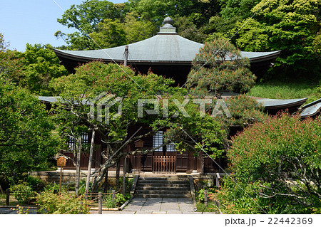 瑞泉寺（鎌倉） 22442369