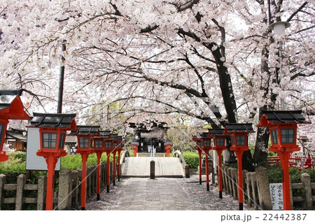 六孫王神社 22442387
