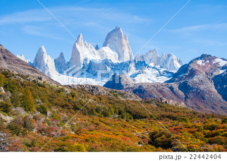 パタゴニア 22442404