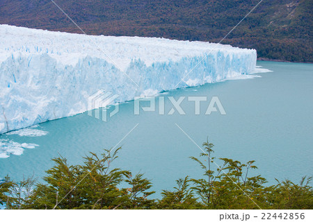 ペリトモレノ氷河 ペリトモレノ氷河 22442856