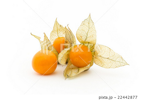 ゴールデンベリー　ケープグーズベリー　（食用ホオズキ）:Goldenberries 22442877