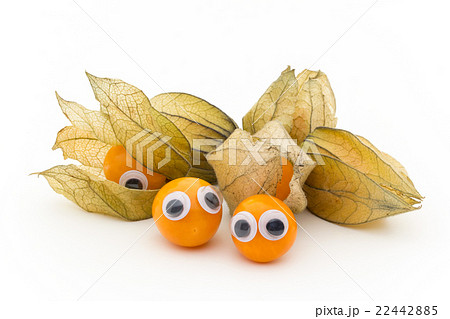 目玉シール・ゴールデンベリー:wiggly-eyed goldenberries 22442885