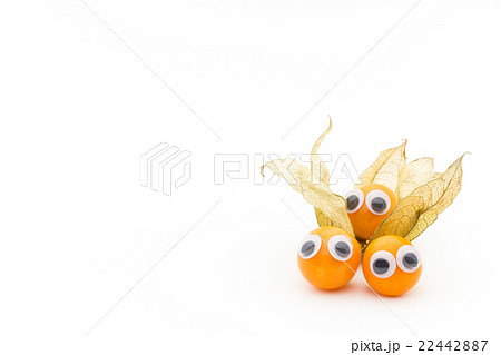 目玉シール・ゴールデンベリー:wiggly-eyed goldenberries 22442887