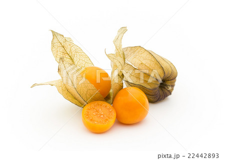 ゴールデンベリー　ケープグーズベリー　（食用ホオズキ）:Goldenberries 22442893