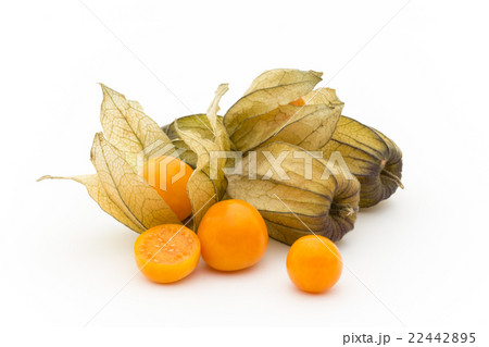 ゴールデンベリー　ケープグーズベリー　（食用ホオズキ）:Goldenberries 22442895