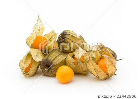 ゴールデンベリー　ケープグーズベリー　（食用ホオズキ）:Goldenberries 22442906