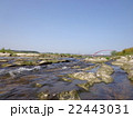多摩川 22443031