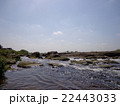 多摩川 22443033