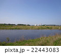 多摩川 22443083