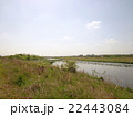 多摩川 22443084