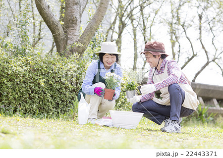 ガーデニングを楽しむ50代の夫婦 22443371