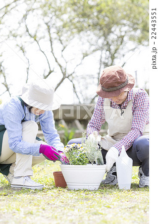 ガーデニングを楽しむ50代の夫婦 22443551