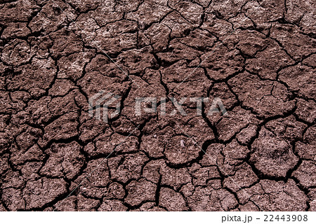 Dried land background 22443908
