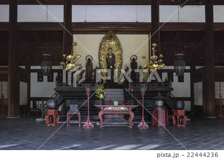 東福寺　本堂 22444236