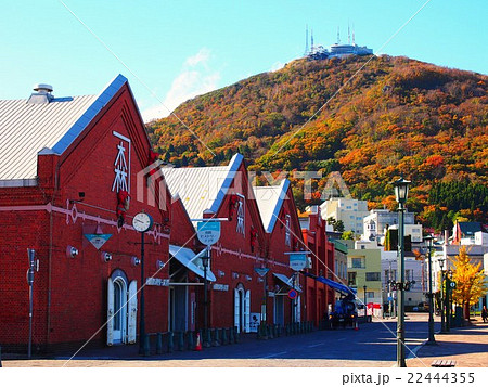 金森赤レンガ倉庫と紅葉に染まる函館山 金森赤レンガ倉庫と紅葉に染まる函館山 22444355