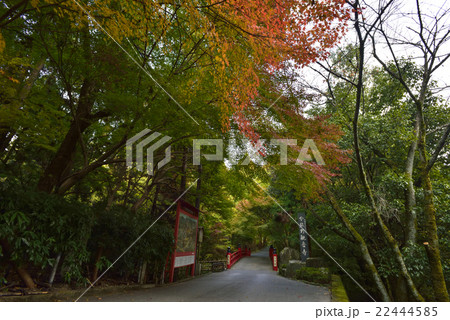 今熊野観音寺 22444585