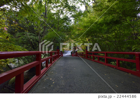 今熊野観音寺 22444586