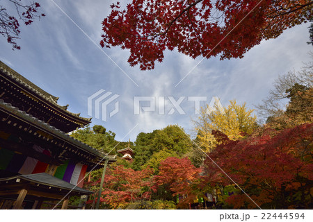 今熊野観音寺 22444594