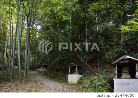 今熊野観音寺 22444600