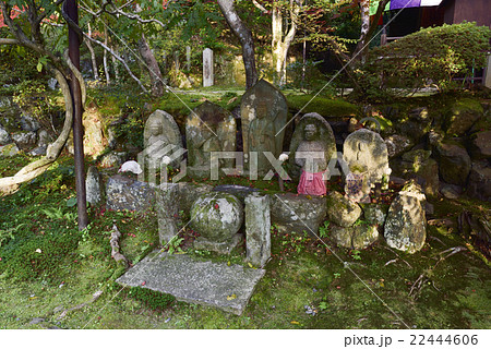 今熊野観音寺 22444606