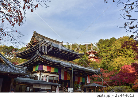 今熊野観音寺 今熊野観音寺 22444612