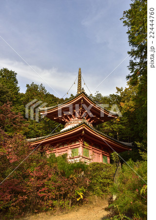 今熊野観音寺 医聖堂 大師堂 今熊野観音寺 医聖堂 大師堂 22444760