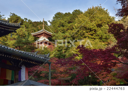 今熊野観音寺 医聖堂 大師堂 今熊野観音寺 医聖堂 大師堂 22444763